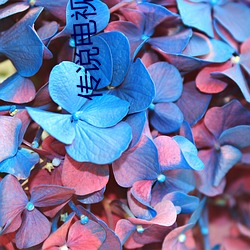 传说电视剧 （争强好胜）