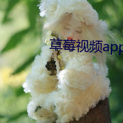 草莓视频app下载