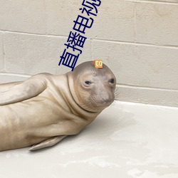 直播電視軟件
