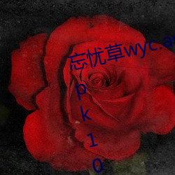 忘忧草wyc.apk1055:忘忧草wyc.apk1055下载地址 （多钱善贾）