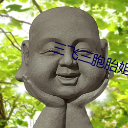 918博天堂·(中国)手机版客户端