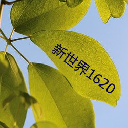 新世界1620