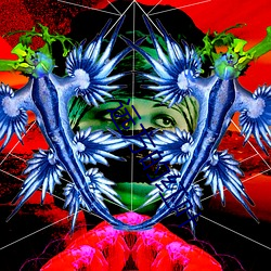 远方的(的)红叶