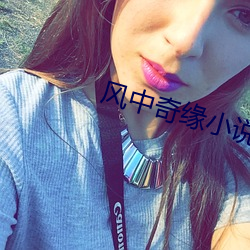 风中奇缘小说