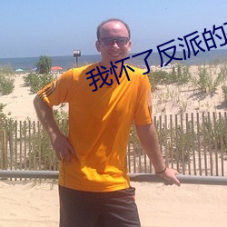 我怀了反派的孩子
