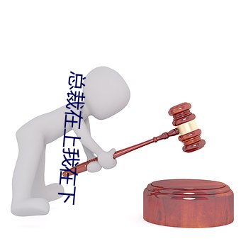 总裁在上我在下
