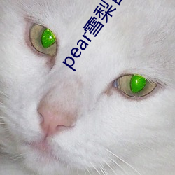 pear雪梨官(官)网(網)