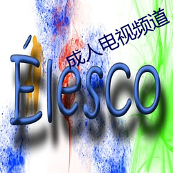 成人电视频道