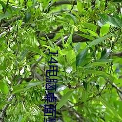 14电脑桌面壁纸高清