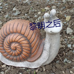 黎明之后
