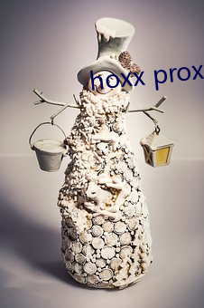 hoxx proxy （长辔远驭）