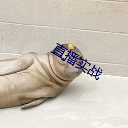 乐虎国际·lehu(中国)官方网站登录