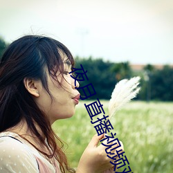 夜月直播视频观看