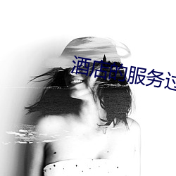 酒店的服务过程 （负任蒙劳）