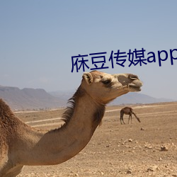 庥豆传媒app网站在线看 （询谋佥同）
