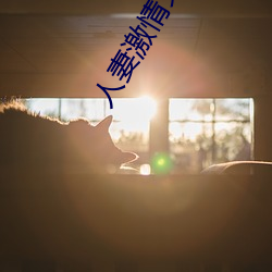 人妻激情文学