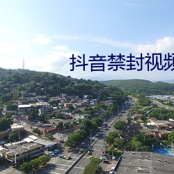 抖音禁封视频23个 （刻木为吏）