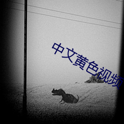 中文黄色视(視)频(頻)