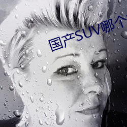 国产SUV哪个好