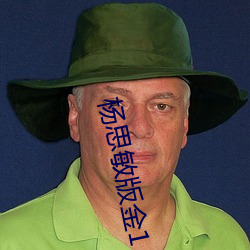 杨思(sī)敏版金1