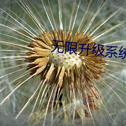 无(無)限(限)升(升)级系(系)统