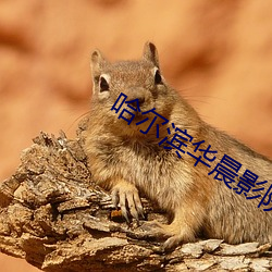 哈爾濱華晨影院