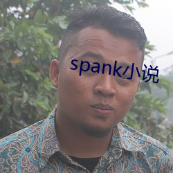 spank小说 （梗迹萍踪）