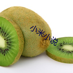 小(小)米小说