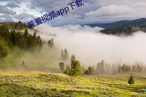 九游会登录j9入口 - 中国官方网站 | 真人游戏第一品牌