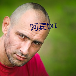 阿宾txt