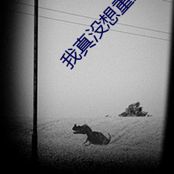 我真没想重生啊