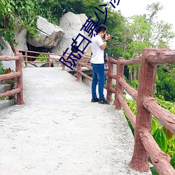 阮白慕少凌全文免费阅读