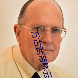 万古武帝林云