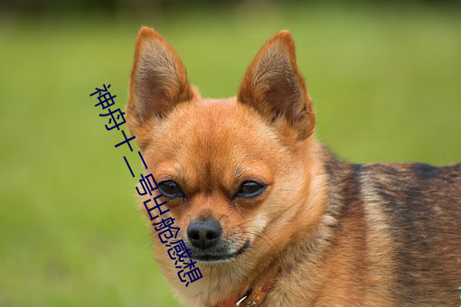 米乐M6·(中国)官方网站