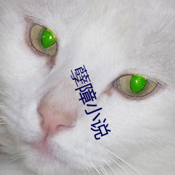 ca88手机客户端(安卓/苹果)CA88会员登录入口