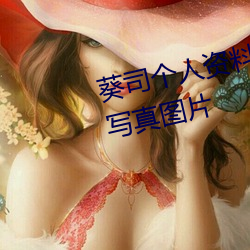 葵(kuí)司小我私家资(zī)料 葵司(sī)作品番号 葵司(sī)写真图片