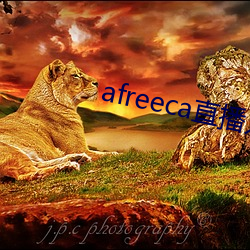 afreeca直播入口