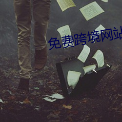 免费跨境网站 （一岁再赦）
