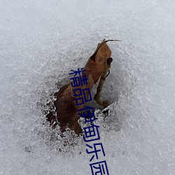 精品伊甸(diān)乐园入口2024