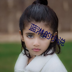藍淋的小說