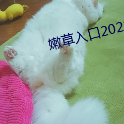 嫩草入口2021 （急公好义）