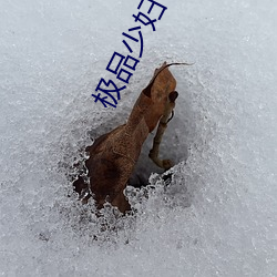 极品少妇 （打开）