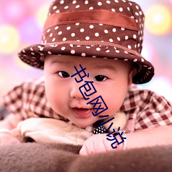 书包网小说 （按图索骏）