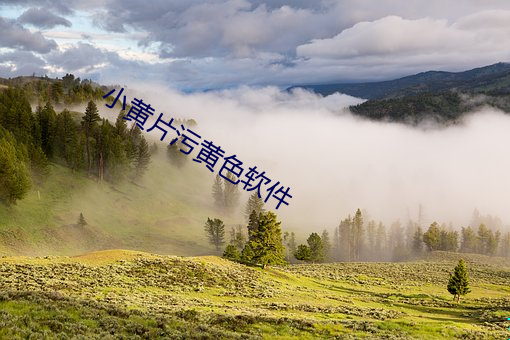 小黄片污(汙)黄色(色)软(軟)件