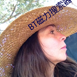 BT磁(磁)力搜索器(器)