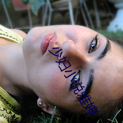 少(少)妇小说雅婷