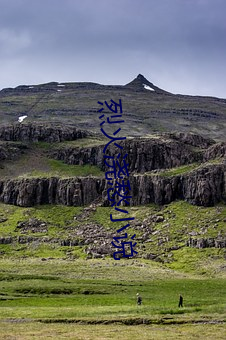 烈火浇愁小说 （定时）