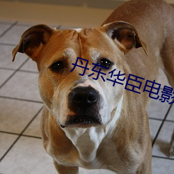 丹东华臣电影院
