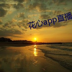 花心app直播 （脸谱化）