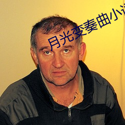 月光变奏曲小说